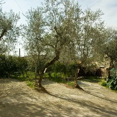 Casa Di Zarino Bed & Breakfast *